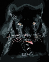 Malování podle čísel - ČERNÁ PUMA - 40x50 cm, bez rámu a bez vypnutí plátna