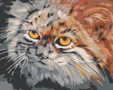 Malování podle čísel - ŠEDOHNĚDÁ KOČKA - 80x100 cm, bez rámu a bez vypnutí plátna