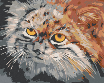 Malování podle čísel - ŠEDOHNĚDÁ KOČKA - 80x100 cm, bez rámu a bez vypnutí plátna