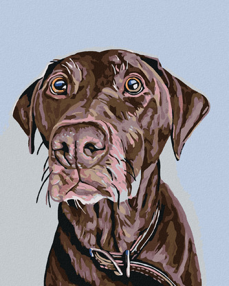 Malování podle čísel - HNĚDÝ PES S HNĚDÝM OBOJKEM - 40x50 cm, bez rámu a bez vypnutí plátna