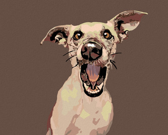 Malování podle čísel - PŘEKVAPENÝ PES - 40x50 cm, vypnuté plátno na rám