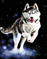 Malování podle čísel - HUSKY - 80x100 cm, vypnuté plátno na rám