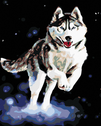 Malování podle čísel - HUSKY - 80x100 cm, vypnuté plátno na rám