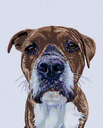 Malování podle čísel - PSÍ POHLED - 40x50 cm, vypnuté plátno na rám