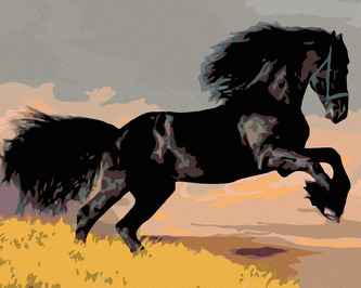 Malování podle čísel - ČERNÝ KŮŇ - 80x100 cm, bez rámu a bez vypnutí plátna
