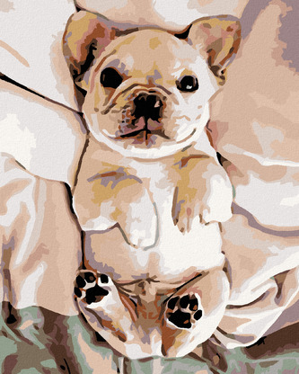 Malování podle čísel - MALÉ ŠTĚNĚ BULDOČKA - 40x50 cm, bez rámu a bez vypnutí plátna