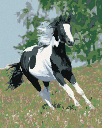 Malování podle čísel - BĚŽÍCÍ STRAKÁČ - 40x50 cm, vypnuté plátno na rám