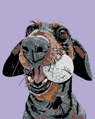 Malování podle čísel - PES S GOLFOVÝM MÍČKEM - 80x100 cm, bez rámu a bez vypnutí plátna