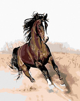Malování podle čísel - HNĚDÁK V PÍSKU - 40x50 cm, vypnuté plátno na rám