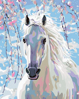Malování podle čísel - BÍLÝ KŮŇ - 80x100 cm, bez rámu a bez vypnutí plátna
