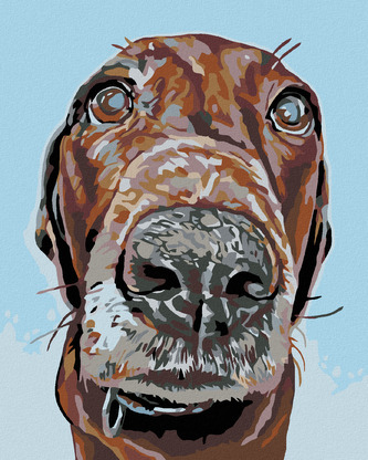 Malování podle čísel - PES S VELKÝM ČUMÁČKEM - 40x50 cm, vypnuté plátno na rám