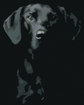 Malování podle čísel - ČERNOBÍLÝ PES - 40x50 cm, bez rámu a bez vypnutí plátna