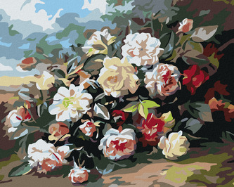 Malování podle čísel - PLANÉ RŮŽE - 80x100 cm, bez rámu a bez vypnutí plátna