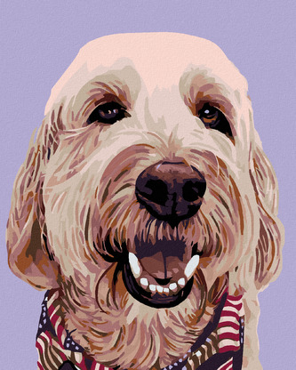 Malování podle čísel - PES SE ŠÁTKEM - 40x50 cm, bez rámu a bez vypnutí plátna