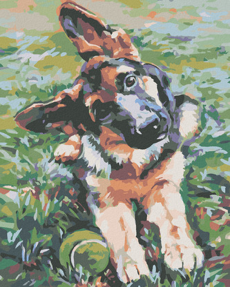 Malování podle čísel - ŠTĚNĚ OVČÁKA - 40x50 cm, vypnuté plátno na rám