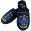 Bačkory unisex Harry Potter 1 Havraspár (42145)