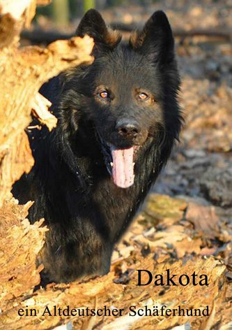 Dakota