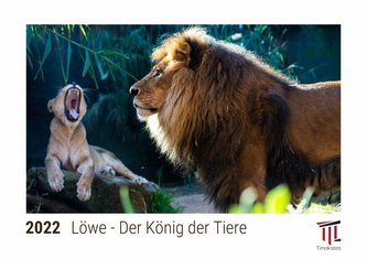 Löwe - Der König der Tiere 2022 - Timokrates Kalender, Tischkalender, Bildkalender - DIN A5 (21 x 15 cm)