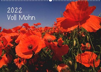 Voll Mohn (Wandkalender 2022 DIN A2 quer)