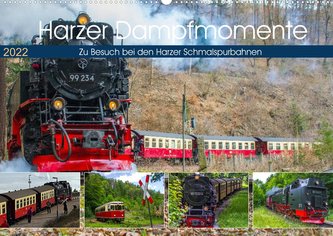 Harzer Dampfmomente (Wandkalender 2022 DIN A2 quer)
