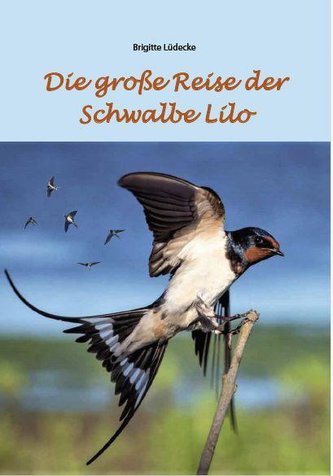 Die große Reise der Schwalbe Lilo