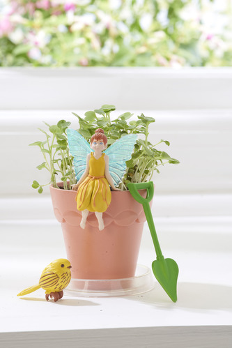 My Fairy Garden - mini květináček Joy