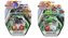 Bakugan startovací sada 3ks s3