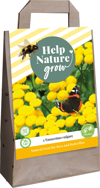 Taška - JARNÍ VRATIČ OBECNÝ TANACETUM VULGARE (3 hlízy) "F"