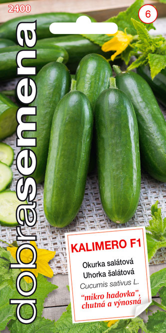 Dobrá semena Okurka sklen. - Kalimero F1 MIKRO 10s