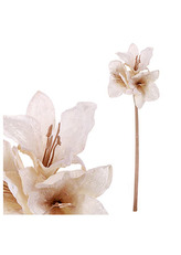 Amarylis, umělá květina, barva krémová .