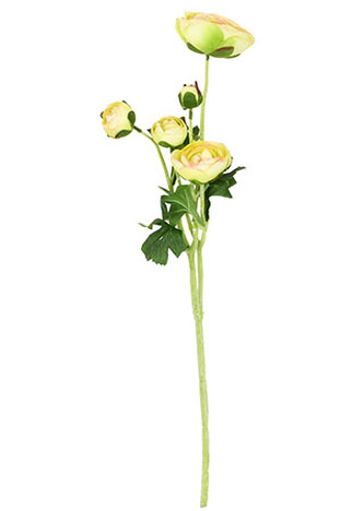 Ranunkulus 5 hlav, barva zelená. Květina umělá.
