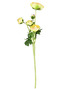 Ranunkulus 5 hlav, barva zelená. Květina umělá.