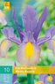 Karta - Kosatec HOLLANDICA MYSTIC BEAUTY (10 cibulí) "B"