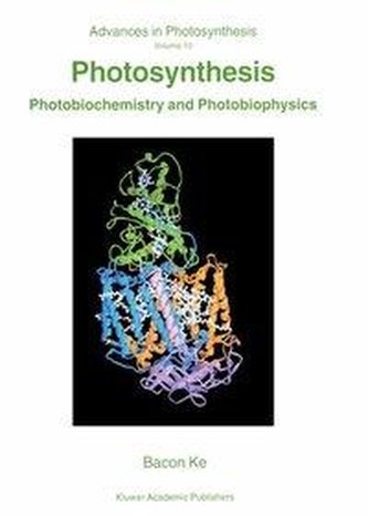 Photosynthesis