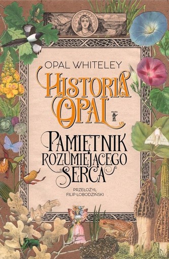 Historia Opal Pamiętnik rozumiejącego serca Historia Opal Pamiętnik rozumiejącego serca