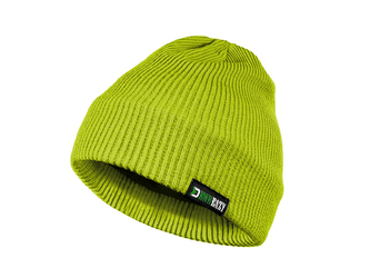 Zimní čepice RWR EAZY - UNI