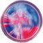 POWERBAIT SELECT GLITTER TROUT BAIT 50G CAPTAIN AMERICA