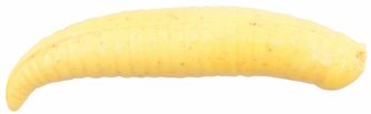GULP! FLOATING PINCHED CRAWLER 2.5CM CHUNKY CHEESE