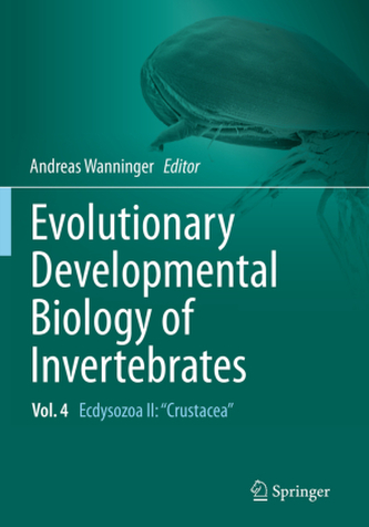 Evolutionary Developmental Biology of Invertebrates 4
