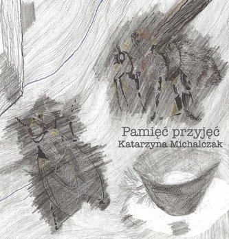 Pamięć przyjęć