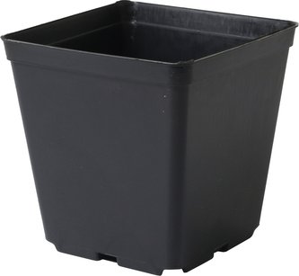 Kontejner pevná kvalita 11x11x12 cm - 10 ks