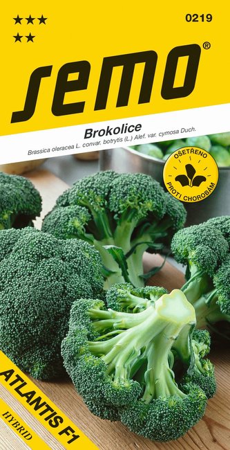 Brokolice - Atlantis F1 40s