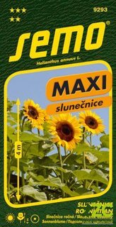 Slunečnice roční - Kong F1 (Titan) 1,5g - série MAXI