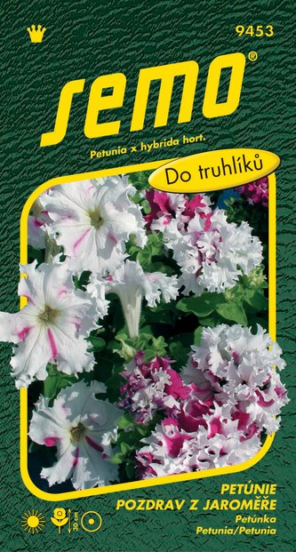 Petunie velkokvětá - Pozdrav z Jaroměře 50p