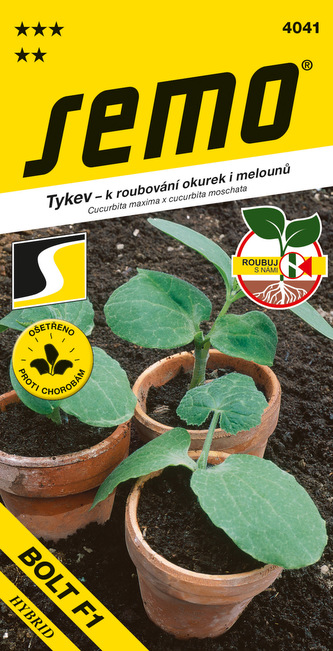 Tykev k roubování okurek - Bolt F1 (SM TETxSU) 15s série "Roubuj s námi" Tykev k roubování okurek - Bolt F1 (SM TETxSU) 15s série "Roubuj s námi"