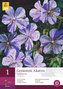 Karta - Geranium AKATON (1 hlíza) "B"