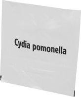 Lapač feromonový - obaleč jablečný náplň