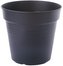 Květináč Green Basics - living black 15 cm