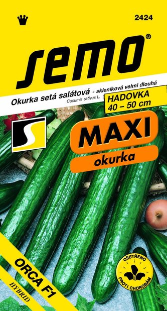 Okurka sklen. - Orca F1 velmi dl 10s - série MAXI