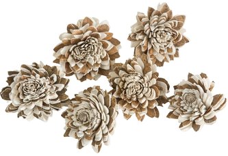 Dekorace - Sola Multi Zinnia 4 cm - 6 ks
